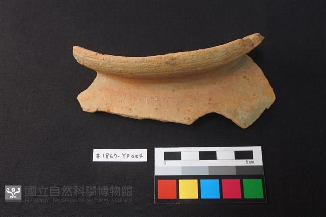 陶片藏品圖，第1張