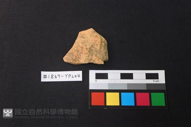 陶片藏品圖，第1張