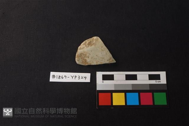 陶片藏品圖，第1張