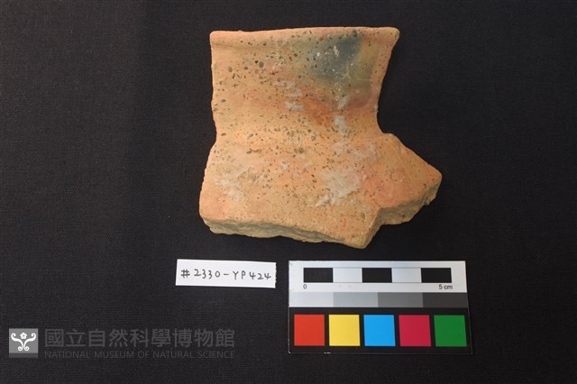 陶片藏品圖，第1張