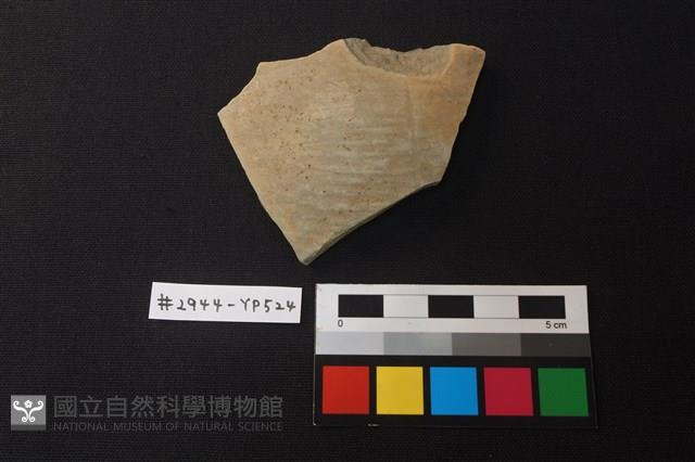 陶片藏品圖，第1張