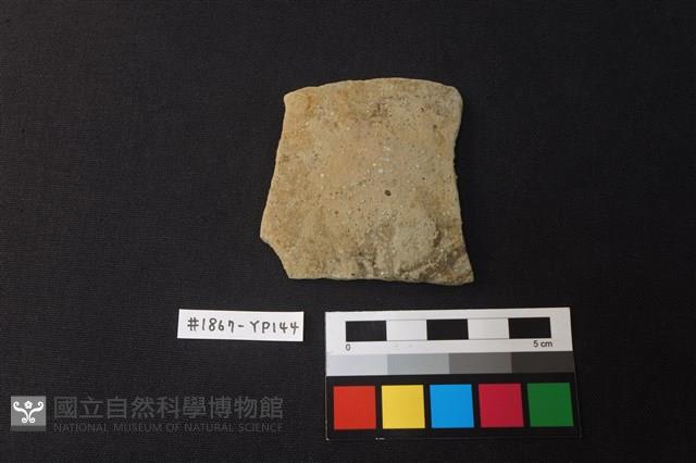 陶片藏品圖，第1張