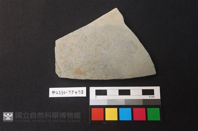 陶片藏品圖，第1張