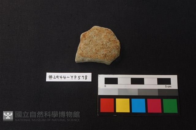 陶片藏品圖，第1張