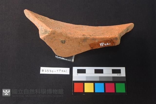 陶片藏品圖，第4張