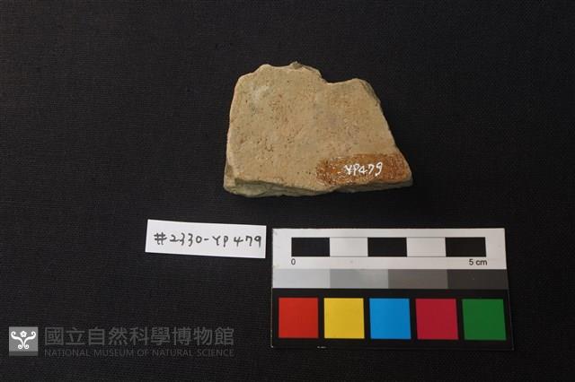 陶片藏品圖，第2張