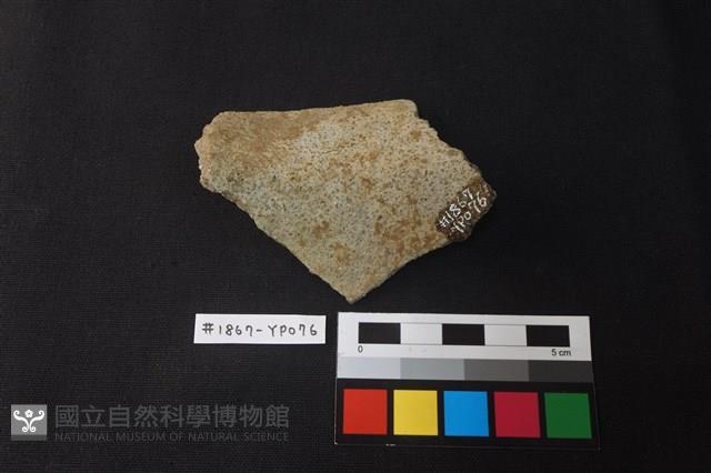 陶片藏品圖，第3張