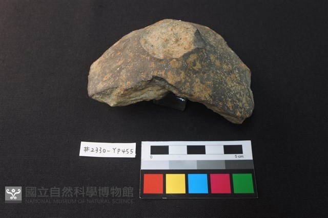 陶片藏品圖，第3張