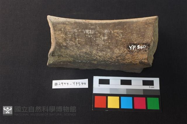 陶片藏品圖，第3張