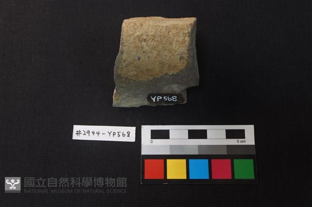 陶片藏品圖，第3張