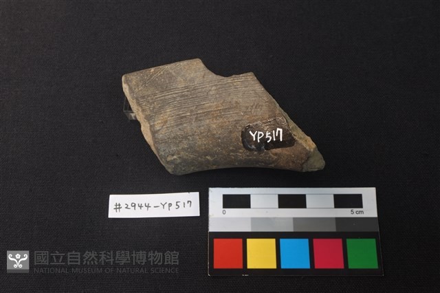 陶片藏品圖，第3張