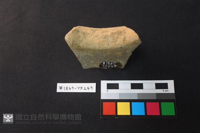 陶片藏品圖，第3張