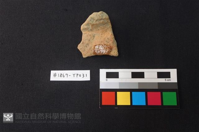 陶片藏品圖，第3張