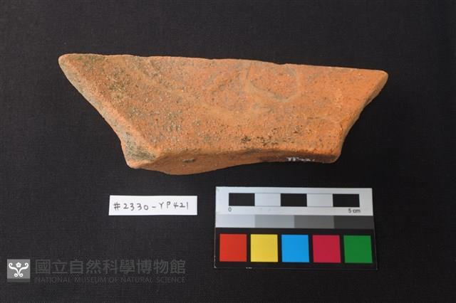 陶片藏品圖，第3張