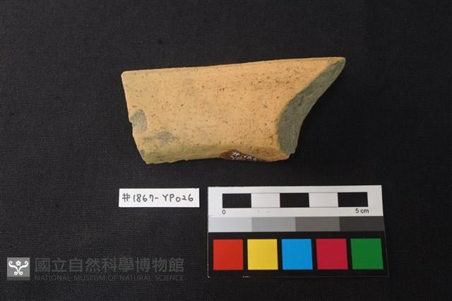 陶片藏品圖，第3張