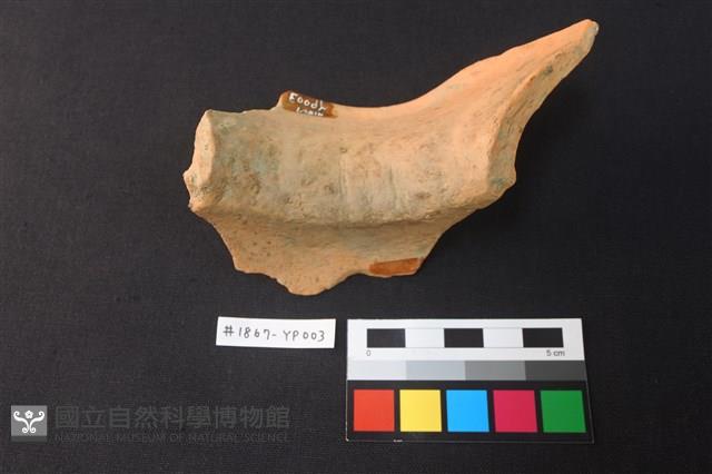 陶片藏品圖，第3張