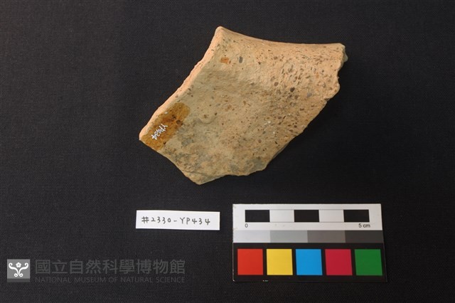 陶片藏品圖，第3張