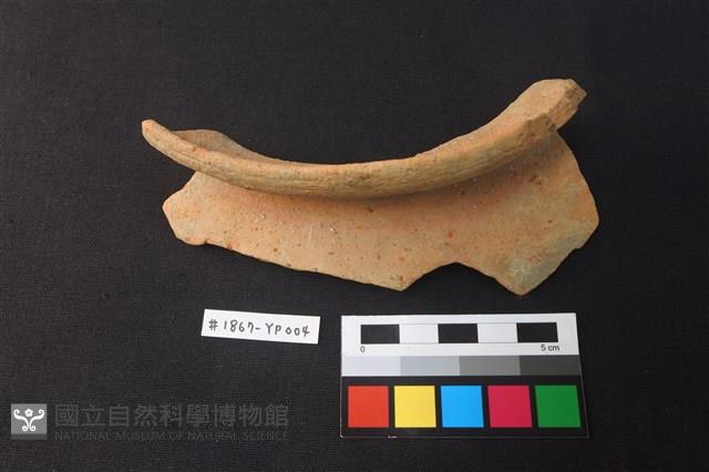 陶片藏品圖，第3張