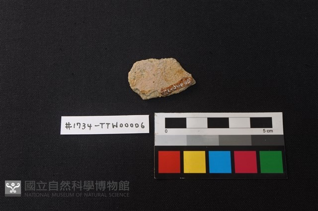 陶片藏品圖，第2張