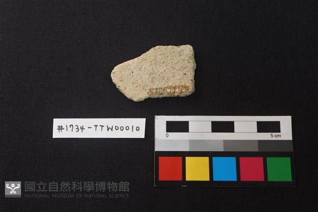 陶片藏品圖，第2張