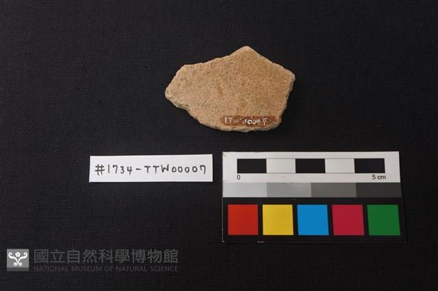 Accession Number:TTW00007 Collection Image, Figure 2, Total 2 Figures