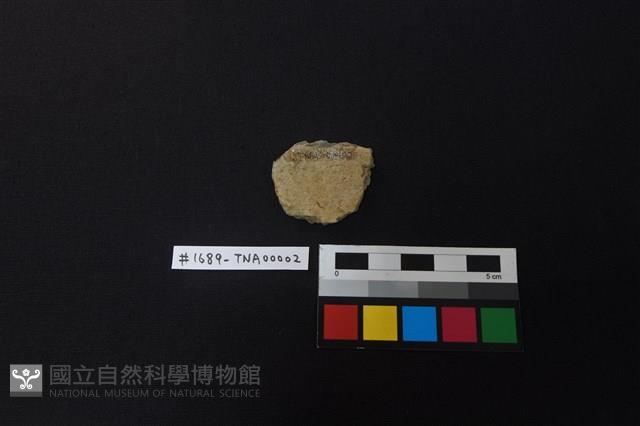 陶片藏品圖，第2張