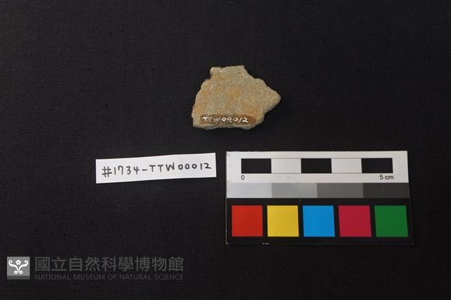 陶片藏品圖，第2張