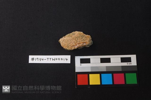 Accession Number:TTW00014 Collection Image, Figure 2, Total 2 Figures