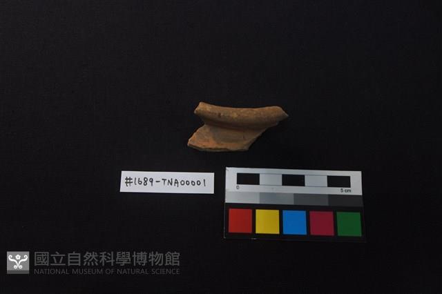 陶片藏品圖，第2張