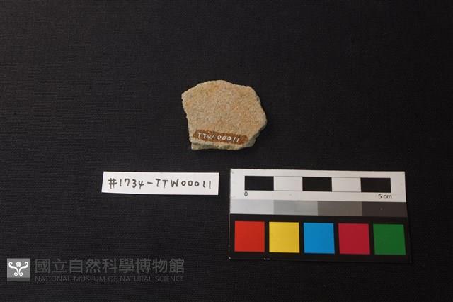 Accession Number:TTW00011 Collection Image, Figure 2, Total 2 Figures