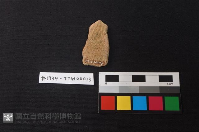 陶片藏品圖，第2張