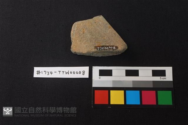 陶片藏品圖，第2張