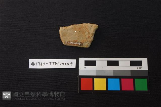 陶片藏品圖，第2張