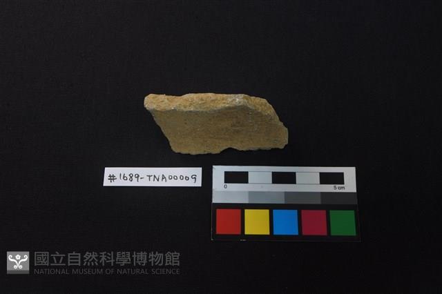 陶片藏品圖，第2張