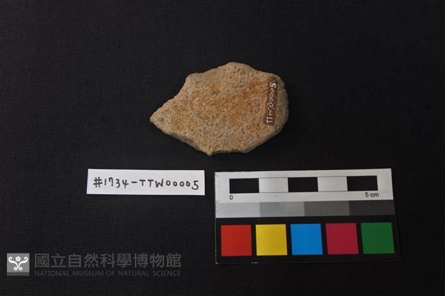 陶片藏品圖，第2張