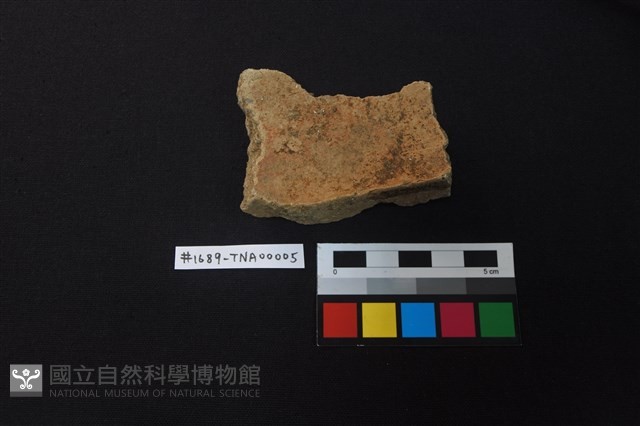 陶片藏品圖，第2張