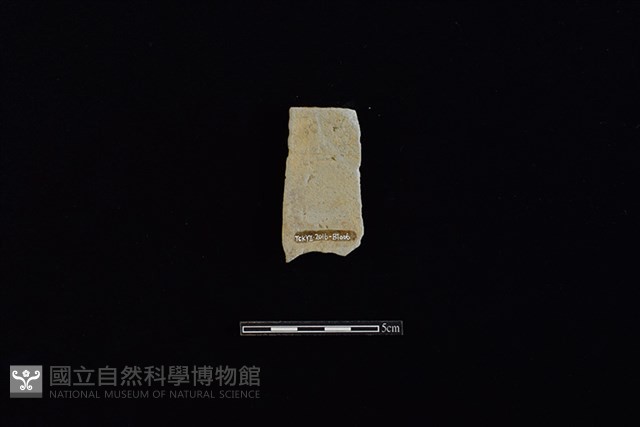 瓦藏品圖，第2張