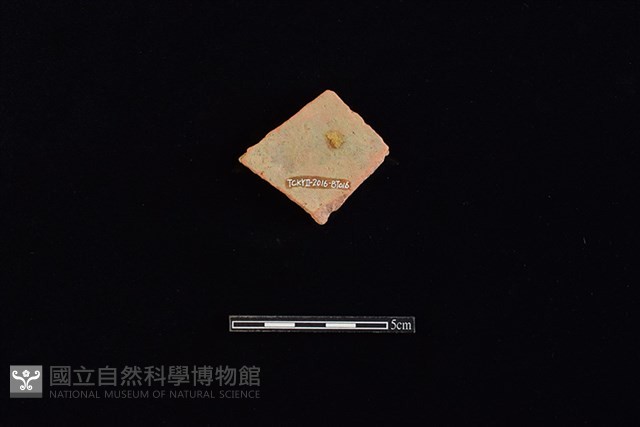 瓦藏品圖，第2張