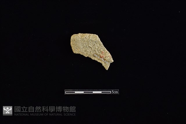 瓦藏品圖，第2張