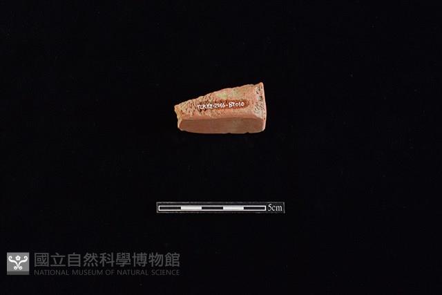 磚藏品圖，第2張