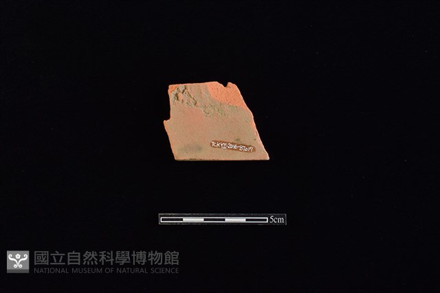 瓦藏品圖，第2張