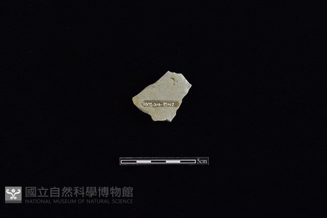 瓦藏品圖，第2張