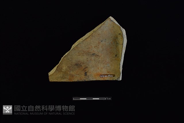 瓦藏品圖，第2張