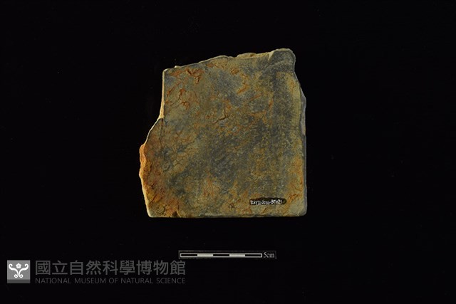 瓦藏品圖，第2張