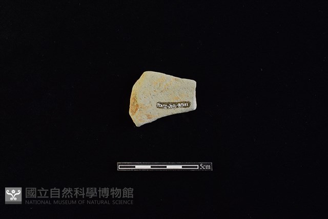瓦藏品圖，第2張