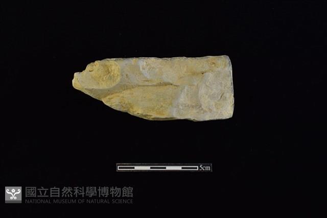 瓦藏品圖，第2張