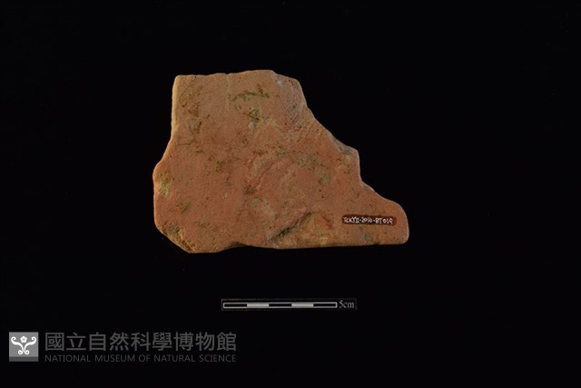 磚藏品圖，第2張