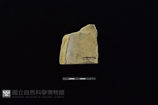 瓦藏品圖，第2張