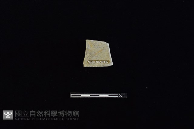 瓦藏品圖，第2張