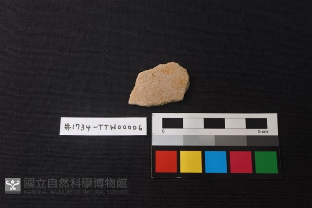 陶片藏品圖，第1張